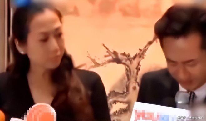 5年剖4胎如今她的下场怪不了别人瓦力游戏生孩子上瘾？蒋丽莎为丈夫(图4)